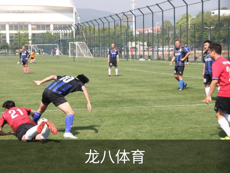 走进龙八体育